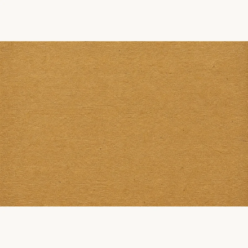 Park Lane canvas slate textured cardstock