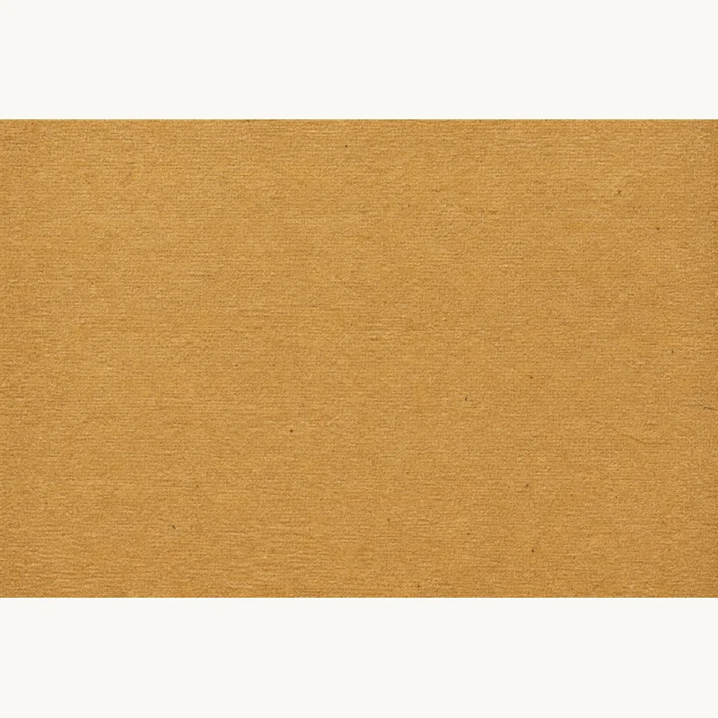 Park Lane canvas sand cardstock